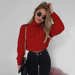 Chunky Knitted Roll Neck Cable Sleeve Sweater